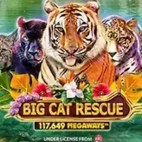 Big Cat Rescue Megaways by Red Tiger Gaming